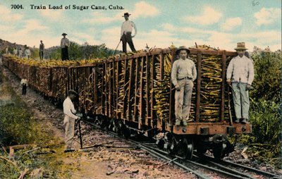 1915年キューバ、フィールドを離れるサトウキビの列車の負荷 作： Unbekannt