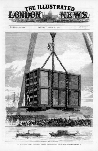 アフリカゾウのジャンボをアメリカに輸送、1882年 作： Unbekannt