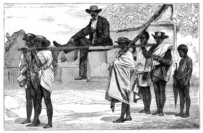 マダガスカル旅行、c1890 作： Unbekannt