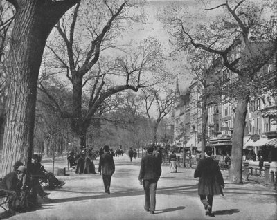 Tremont Street and The Common、ボストン、米国、c1900。 作： Unbekannt
