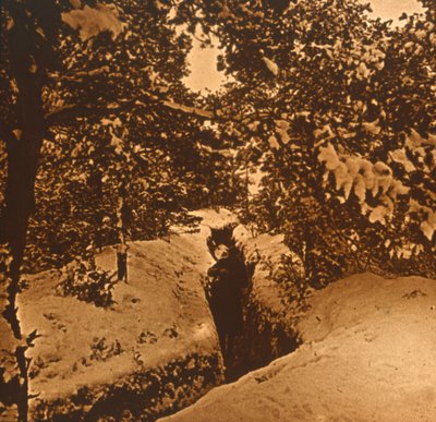 モミの木の下の溝、c1914-c1918 作： Unbekannt