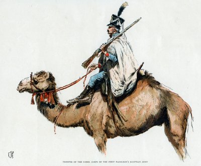 第一ナポレオンエジプト軍のラクダ軍団の騎兵、1790年代20世紀 作： Unbekannt