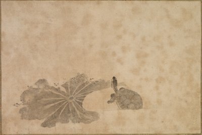 蓮の池のカメ、18世紀。 作： Unbekannt