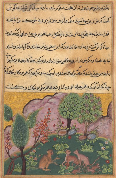 Turot-Nama Tales of a Parrot：Tale XXIX、c。 1560年。 作： Unbekannt