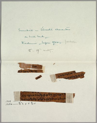 1700年以前のサンスクリット語の樹皮の2つの断片。 作： Unbekannt