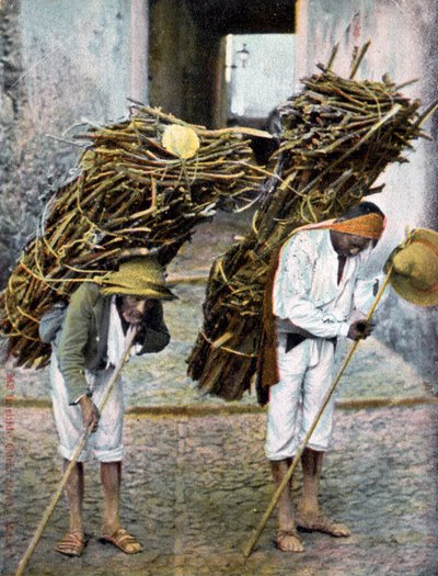 20世紀初頭、メキシコの背中に木材の束を運ぶ2人の男性 作： Unbekannt