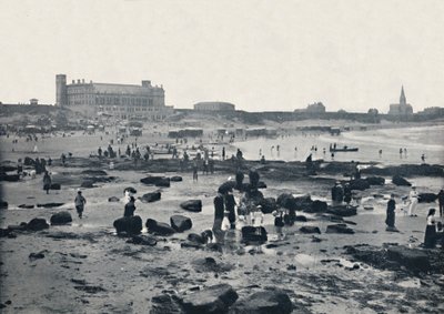 タインマス-水族館とサンズ、1895 作： Unbekannt
