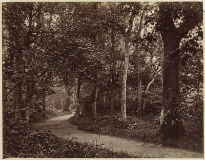 無題の風景、1860年代初頭。 作： Unbekannt