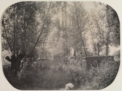 犬のいる無題の風景c。 1910年。 作： Unbekannt
