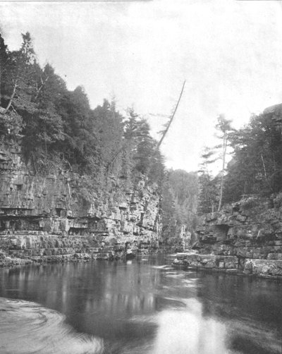 Ausable Chasmの上端、米国ニューヨーク州アディロンダックス、c1900。 作： Unbekannt