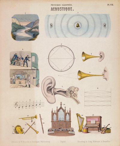 さまざまな楽器と音、ヴュルテンベルク、c1850 作： Unbekannt
