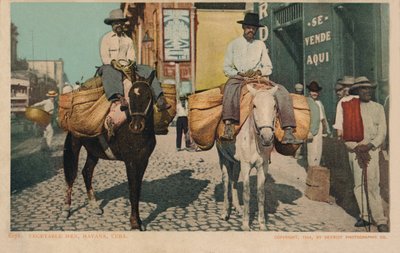 野菜の男性、ハバナ、キューバ、1904 作： Unbekannt