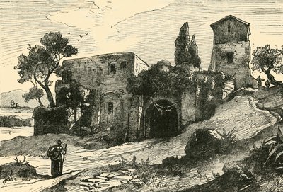 サルストの庭園からの眺め、1890年。 作： Unbekannt
