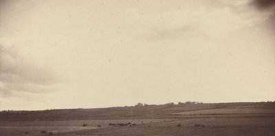 牛のいる畑の眺め、1850年代から1860年代。 作： Unbekannt