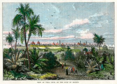 ベラクルス、メキシコ湾、メキシコ、c1880のビュー 作： Unbekannt