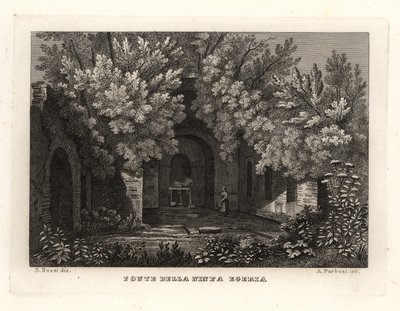 ニンフ・エゲリアの泉の眺め（Fonte della Ninfa Egeria, Parco Cafarella, Rome 作： Unbekannt