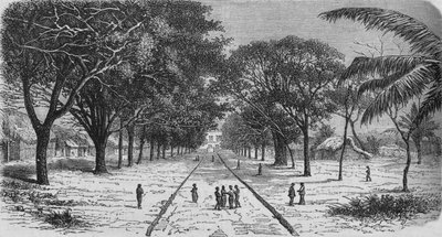 アフリカの西海岸の村、c1880 作： Unbekannt