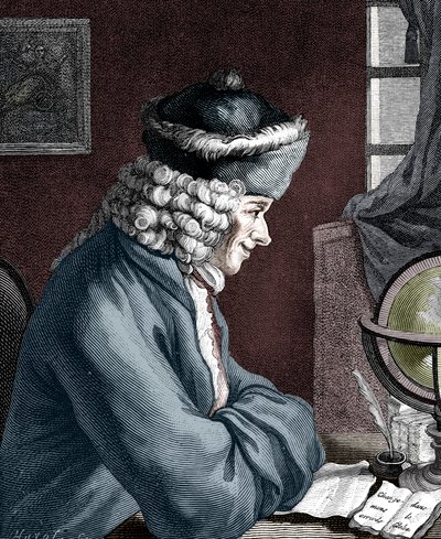 ヴォルテール、18世紀のフランス人作家、脚本家、風刺家、文学者 作： Unbekannt