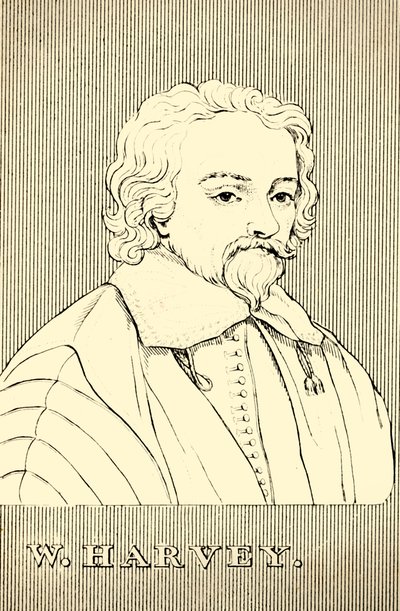 W・ハーヴェイ、1578-1657、1830。 作： Unbekannt