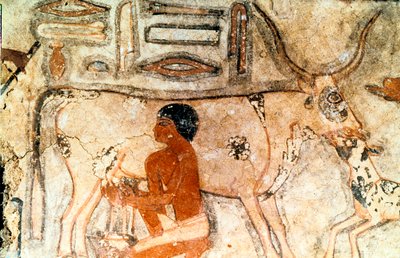 メテティ、サッカラ、古代エジプト、旧王国、c2371-2350 BCの墓からの壁画 作： Unbekannt