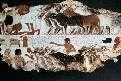 エジプト、テーベのネバルヌンの墓の壁画、紀元前 1350 年頃 作： Unbekannt