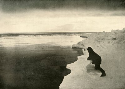 Ice-Edge、c1908、1909でアザラシを監視しています。 作： Unbekannt