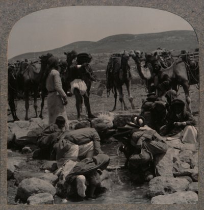 Jacobs Well、c1900でラクダに水をまく 作： Unbekannt