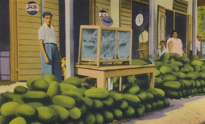 スイカの販売、トリニダード、BWI、c1940s。 作： Unbekannt