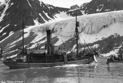 捕鯨、マグダレン湾、スピッツベルゲン、ノルウェー、1929 作： Unbekannt