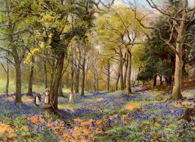1906年、サリーの雑木林に生息する野生のヒヤシンス 作： Unbekannt