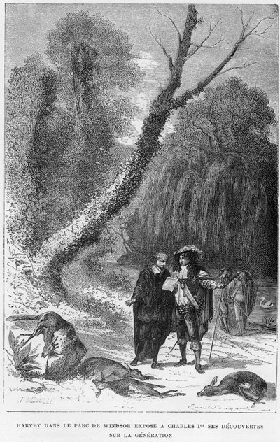 ウィンザーパークにいるイギリスの医師、ウィリアムハーベイ、17世紀1870 作： Unbekannt