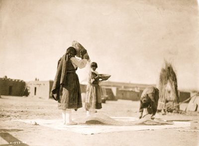 麦刈り風景--サンファン1905（写真 作： Unbekannt