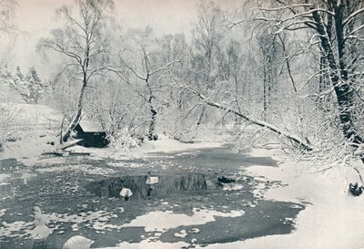 スカンセンの野外博物館の冬景色、c1900 作： Unbekannt