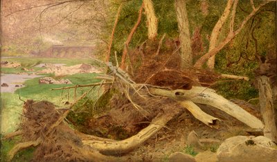 橋のある樹木が茂った風景、カリフォルニア州。 1860～1870年。 作： Unbekannt