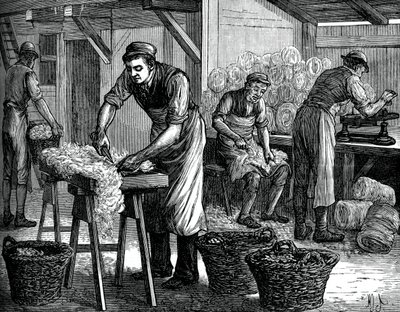 ウールソーター、C1880 作： Unbekannt