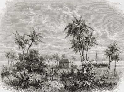 1878年に出版されたアンリテオフィルヒルディブランド（1824-97）によって彫刻された、「手の中の世界」からのイラスト 作： Unbekannt Unbekannt