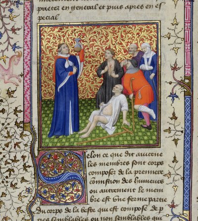 Ms.251 f.54v Des Proprietez des Choses、c.1415からの彼の患者を持つ医者 作： Unbekannt Unbekannt