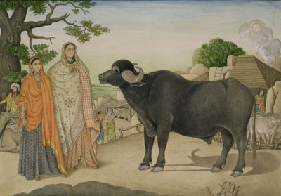 1816年頃、ラニアの村に住む2人の村の女性と水牛 作： Unbekannt Unbekannt