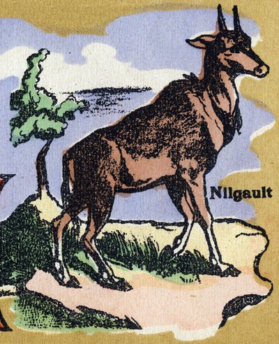 A Nilgault.イラスト入りのアルファベット。20世紀初頭、ジャーヴィル＝ナンシーで再会したイメージたち。寸法：40 x 29 cm。ビストル地にリトグラフ 作： Unbekannt