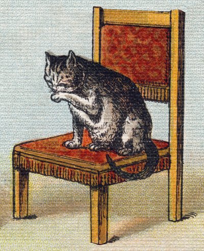 椅子の上の猫。Alphabet de ma petite fille "の中のエングレーヴィング。Bernardin-Bechet and Fils, bookseller-publishers, Paris, around 1895.キャンバスに描かれたアンブレイカブル・アルバム。Bibliotheque des Bebes.12ページ。読書法とイラストのアベセダが入ったアルバム 作： Unbekannt