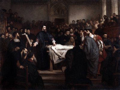 解剖学レコンアンドレ・ヴェサーレ（1514-1564）、イタリア、パドヴァのフランドル解剖学者（アンドレア・ヴェサリウスまたはアンドリース・ファン・ヴェーゼル）。 作： Unbekannter Künstler