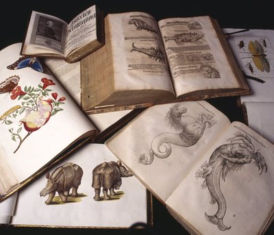 古代動物学関連書籍 作： Unbekannt