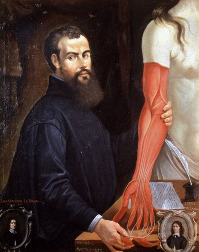 アンドレ・ヴェサーレ（1514-1564） フランドルの医師、近代解剖学の父 ピエール・ポンセの絵 作： Unbekannter Künstler