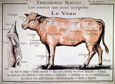 食べる動物：子牛、1910年頃（印刷物） 作： Unbekannter Künstler