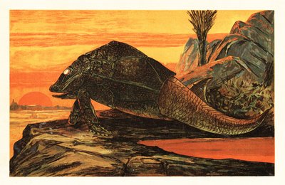 Asterolepis cornutus、甲冑魚の絶滅種。1908 年 (リトグラフ) 作： Unbekannter Künstler