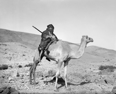 ラクダに乗るベドウィン（1936年頃）（モノクロ写真 作： Unbekannt
