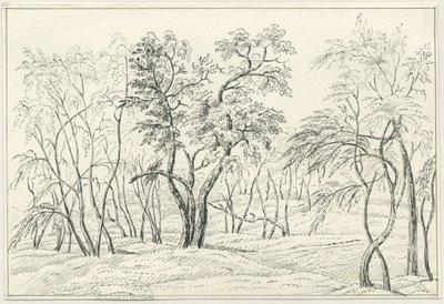 Cannock Chase：ペンと鉛筆の描画、nd [？19セント] 作： Unbekannt