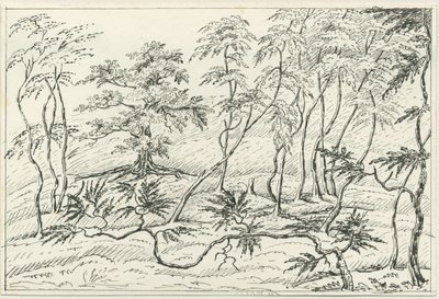 Cannock Chase：ペンと鉛筆の描画、nd [？19セント] 作： Unbekannt