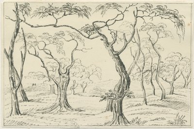 Cannock Chase：ペンと鉛筆の描画、nd [？19セント] 作： Unbekannt