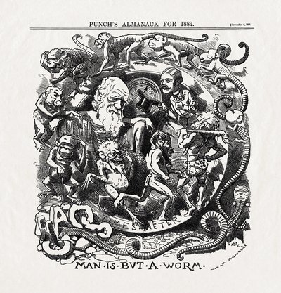 チャールズ・ダーウィン（1809-1882）の進化論に関する漫画：「人間は虫にすぎない」（Man is but a worm）『パンチ』1881年12月6日号より 作： Unbekannter Künstler